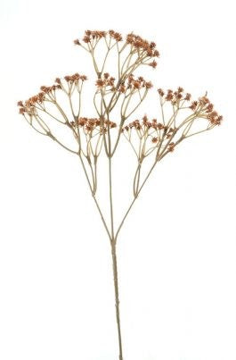 DRIED BABY'S BREATH 63CM BROWN