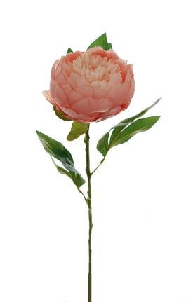 Large Peony Stem Pink 67cm