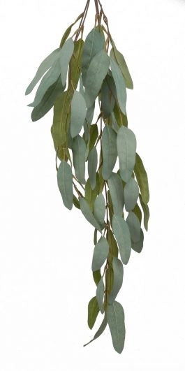 Gum Nut Hanging Bush 72cm White Green