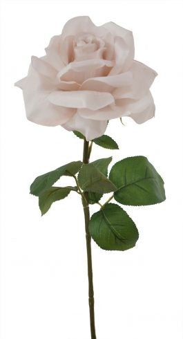 Holand Rose Stem 67cm Light Pink