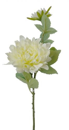 Dhalia Stem 53cm Cream