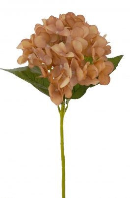 Hydrangea Stem 69cm Brown