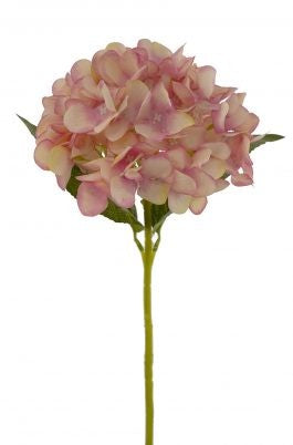 Hydrangea Stem 69cm Pink